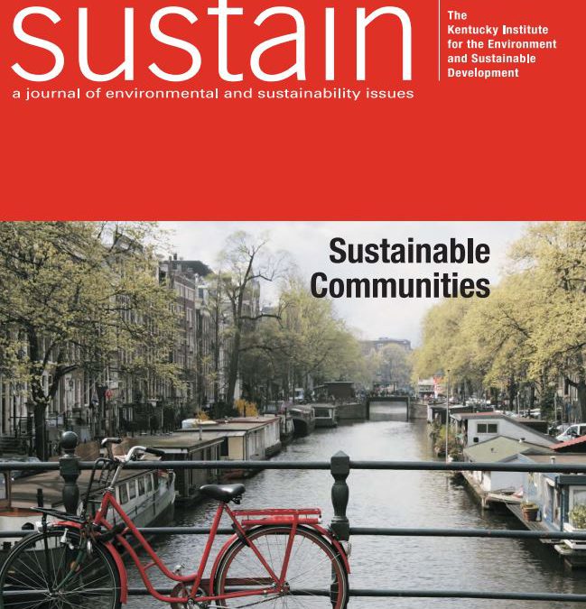 Cycling to Sustainability in Amsterdam