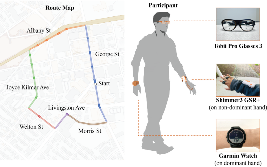 Assessing Pedestrian Stress with Biometric Sensing and Survey Responses