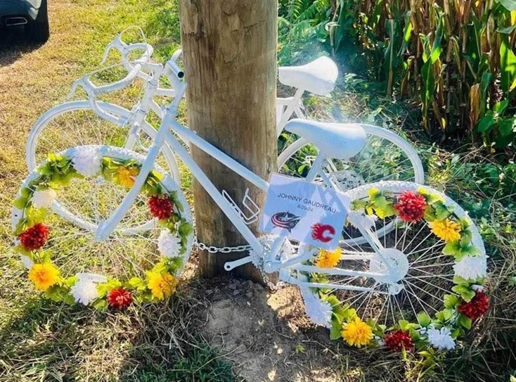 Two ghost bikes at the crash memorial site where NHL Star Johnny Gaudreau and his brother, former AHL/ECHL player Matthew Gaudreau were killed by an impaired driver in Oldman's Township, Salem County, NJ. (Source: Tim Bell for the Delaware Valley Bicycle Club)